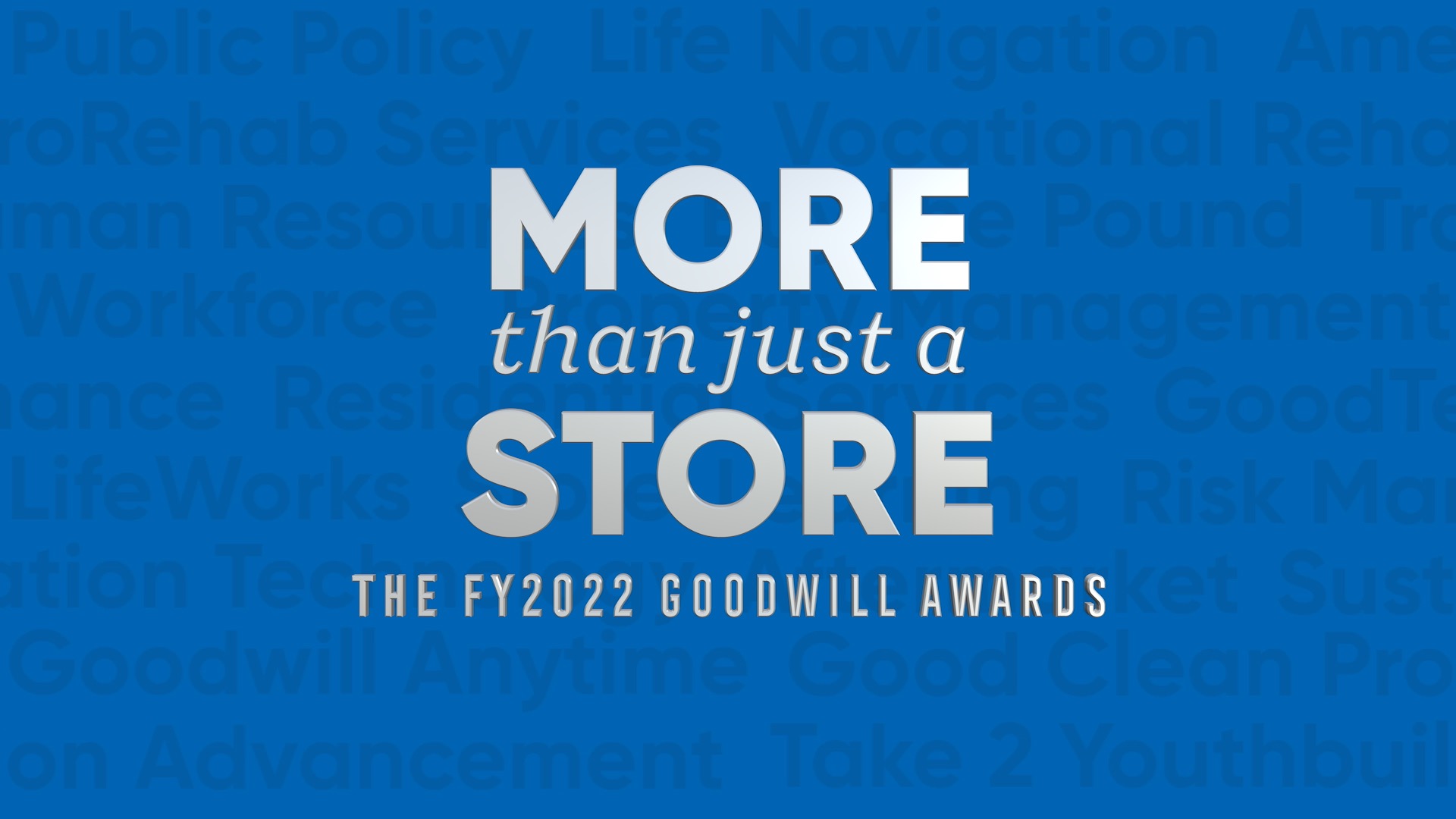 This is a graphic that says, "More Than Just A Store The FY2022 Goodwill Awards" It is grey words on a blue background