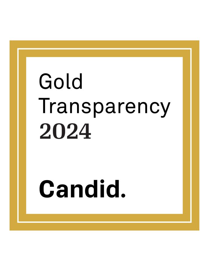 Gold Transparency 2024 from Candid